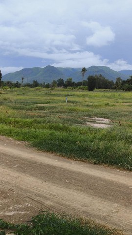 ประกาศฟรี! ซื้อ-ขาย-เช่า คอนโด บ้าน ทาวน์โฮม ที่ดิน และพื้นที่เชิงพาณิชย์ทั่วประเทศไทย ทุกทำเล ทุกงบประมาณ ไม่มีค่าใช้จ่าย ลงง่าย ขายไว เข้าถึงผู้ซื้อโดยตรง 3 293346pic2.jpg