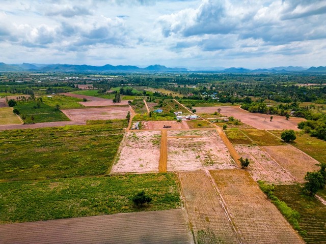 ประกาศฟรี! ซื้อ-ขาย-เช่า คอนโด บ้าน ทาวน์โฮม ที่ดิน และพื้นที่เชิงพาณิชย์ทั่วประเทศไทย ทุกทำเล ทุกงบประมาณ ไม่มีค่าใช้จ่าย ลงง่าย ขายไว เข้าถึงผู้ซื้อโดยตรง 5 293346pic4.jpg