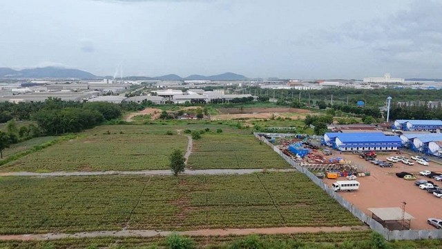 ประกาศฟรี! ซื้อ-ขาย-เช่า คอนโด บ้าน ทาวน์โฮม ที่ดิน และพื้นที่เชิงพาณิชย์ทั่วประเทศไทย ทุกทำเล ทุกงบประมาณ ไม่มีค่าใช้จ่าย ลงง่าย ขายไว เข้าถึงผู้ซื้อโดยตรง 2 259912pic1.jpg