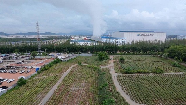 ประกาศฟรี! ซื้อ-ขาย-เช่า คอนโด บ้าน ทาวน์โฮม ที่ดิน และพื้นที่เชิงพาณิชย์ทั่วประเทศไทย ทุกทำเล ทุกงบประมาณ ไม่มีค่าใช้จ่าย ลงง่าย ขายไว เข้าถึงผู้ซื้อโดยตรง 3 259912pic2.jpg