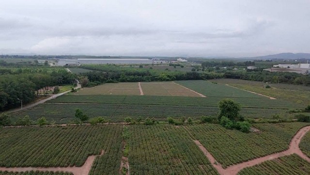 ประกาศฟรี! ซื้อ-ขาย-เช่า คอนโด บ้าน ทาวน์โฮม ที่ดิน และพื้นที่เชิงพาณิชย์ทั่วประเทศไทย ทุกทำเล ทุกงบประมาณ ไม่มีค่าใช้จ่าย ลงง่าย ขายไว เข้าถึงผู้ซื้อโดยตรง 4 259912pic3.jpg