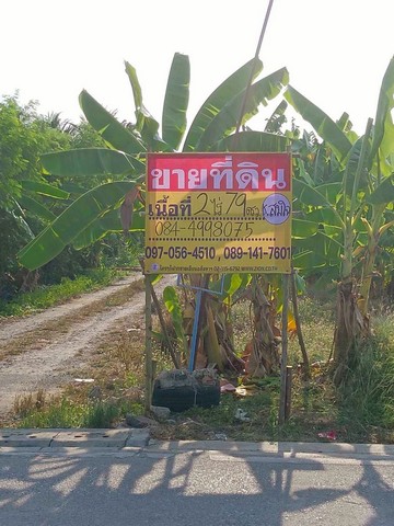 ประกาศฟรี! ซื้อ-ขาย-เช่า คอนโด บ้าน ทาวน์โฮม ที่ดิน และพื้นที่เชิงพาณิชย์ทั่วประเทศไทย ทุกทำเล ทุกงบประมาณ ไม่มีค่าใช้จ่าย ลงง่าย ขายไว เข้าถึงผู้ซื้อโดยตรง 5 519865pic4.jpg