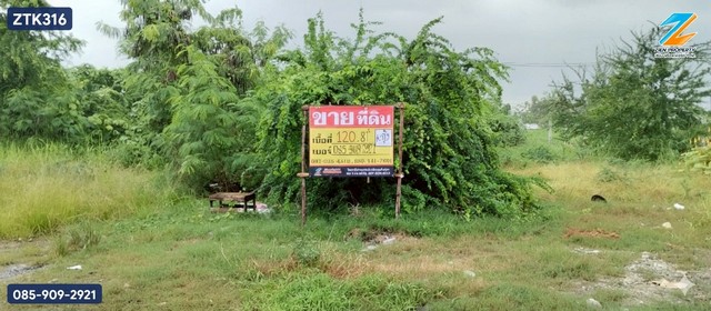 ประกาศฟรี! ซื้อ-ขาย-เช่า คอนโด บ้าน ทาวน์โฮม ที่ดิน และพื้นที่เชิงพาณิชย์ทั่วประเทศไทย ทุกทำเล ทุกงบประมาณ ไม่มีค่าใช้จ่าย ลงง่าย ขายไว เข้าถึงผู้ซื้อโดยตรง 2 519847pic1.jpg