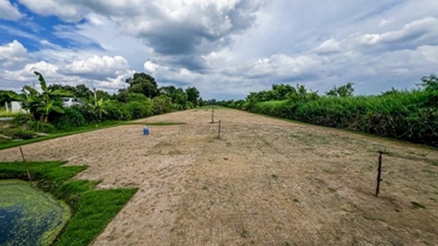 ประกาศฟรี! ซื้อ-ขาย-เช่า คอนโด บ้าน ทาวน์โฮม ที่ดิน และพื้นที่เชิงพาณิชย์ทั่วประเทศไทย ทุกทำเล ทุกงบประมาณ ไม่มีค่าใช้จ่าย ลงง่าย ขายไว เข้าถึงผู้ซื้อโดยตรง 3 293135pic2.jpg