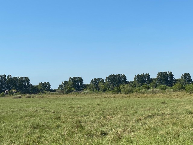 ประกาศฟรี! ซื้อ-ขาย-เช่า คอนโด บ้าน ทาวน์โฮม ที่ดิน และพื้นที่เชิงพาณิชย์ทั่วประเทศไทย ทุกทำเล ทุกงบประมาณ ไม่มีค่าใช้จ่าย ลงง่าย ขายไว เข้าถึงผู้ซื้อโดยตรง 3 142084pic2.jpg