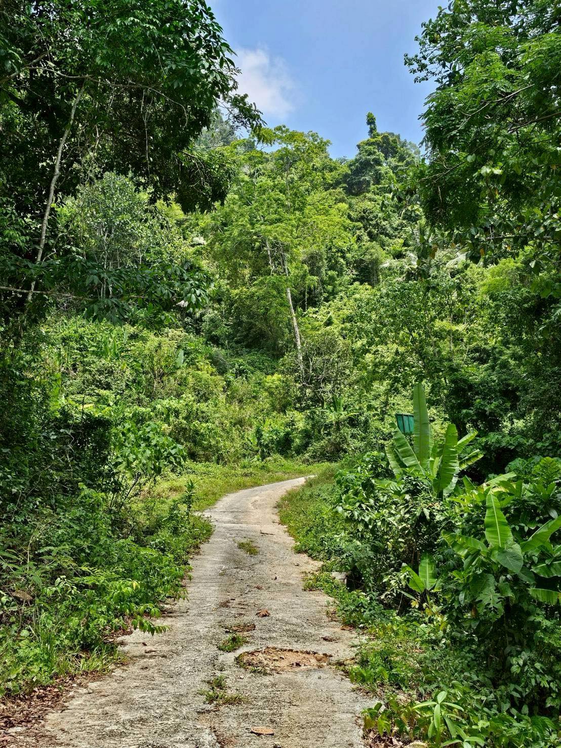 ประกาศฟรี! ซื้อ-ขาย-เช่า คอนโด บ้าน ทาวน์โฮม ที่ดิน และพื้นที่เชิงพาณิชย์ทั่วประเทศไทย ทุกทำเล ทุกงบประมาณ ไม่มีค่าใช้จ่าย ลงง่าย ขายไว เข้าถึงผู้ซื้อโดยตรง 5 318004pic4.jpg