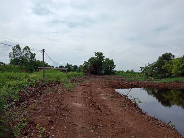 ประกาศฟรี! ซื้อ-ขาย-เช่า คอนโด บ้าน ทาวน์โฮม ที่ดิน และพื้นที่เชิงพาณิชย์ทั่วประเทศไทย ทุกทำเล ทุกงบประมาณ ไม่มีค่าใช้จ่าย ลงง่าย ขายไว เข้าถึงผู้ซื้อโดยตรง 3 120927pic2.jpg