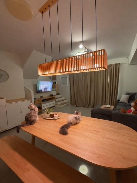 ประกาศฟรี! ซื้อ-ขาย-เช่า คอนโด บ้าน ทาวน์โฮม ที่ดิน และพื้นที่เชิงพาณิชย์ทั่วประเทศไทย ทุกทำเล ทุกงบประมาณ ไม่มีค่าใช้จ่าย ลงง่าย ขายไว เข้าถึงผู้ซื้อโดยตรง 2 516984pic1.jpg