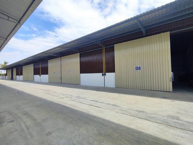 ประกาศฟรี! ซื้อ-ขาย-เช่า คอนโด บ้าน ทาวน์โฮม ที่ดิน และพื้นที่เชิงพาณิชย์ทั่วประเทศไทย ทุกทำเล ทุกงบประมาณ ไม่มีค่าใช้จ่าย ลงง่าย ขายไว เข้าถึงผู้ซื้อโดยตรง 2 520029pic1.jpg