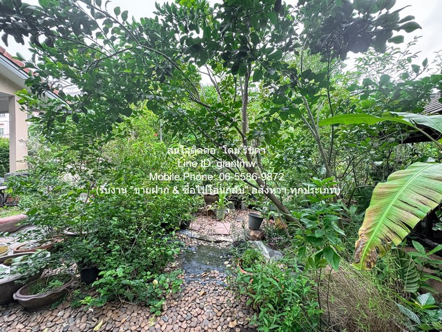 ประกาศฟรี! ซื้อ-ขาย-เช่า คอนโด บ้าน ทาวน์โฮม ที่ดิน และพื้นที่เชิงพาณิชย์ทั่วประเทศไทย ทุกทำเล ทุกงบประมาณ ไม่มีค่าใช้จ่าย ลงง่าย ขายไว เข้าถึงผู้ซื้อโดยตรง 3 317025pic2.jpg