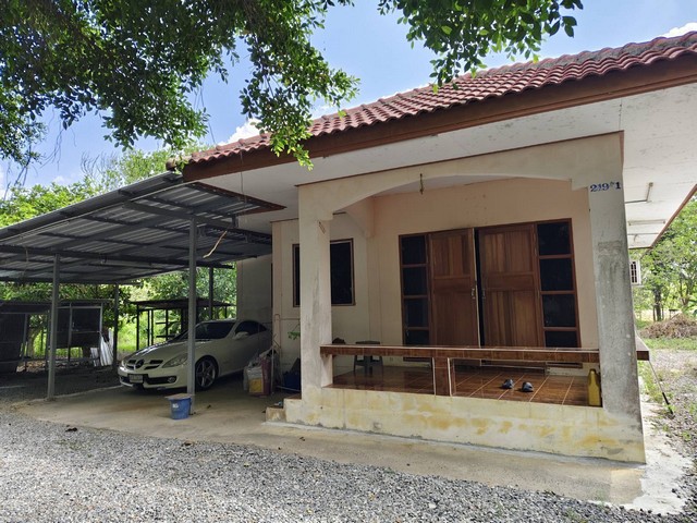 ประกาศฟรี! ซื้อ-ขาย-เช่า คอนโด บ้าน ทาวน์โฮม ที่ดิน และพื้นที่เชิงพาณิชย์ทั่วประเทศไทย ทุกทำเล ทุกงบประมาณ ไม่มีค่าใช้จ่าย ลงง่าย ขายไว เข้าถึงผู้ซื้อโดยตรง 4 256684pic3.jpg