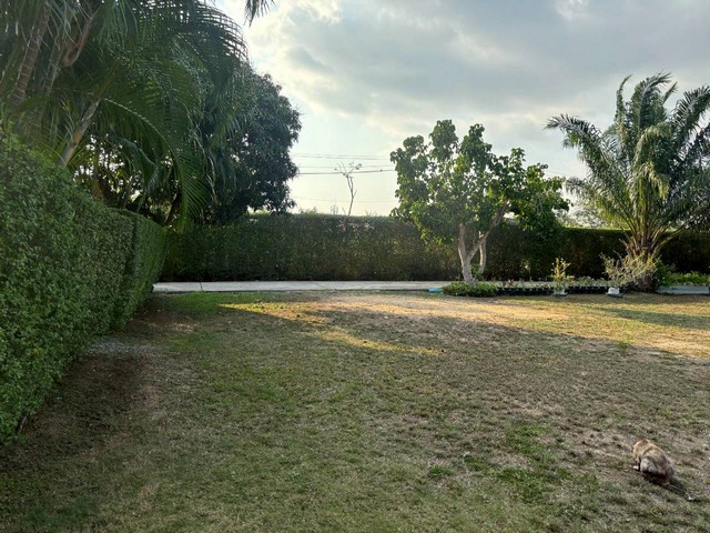 ประกาศฟรี! ซื้อ-ขาย-เช่า คอนโด บ้าน ทาวน์โฮม ที่ดิน และพื้นที่เชิงพาณิชย์ทั่วประเทศไทย ทุกทำเล ทุกงบประมาณ ไม่มีค่าใช้จ่าย ลงง่าย ขายไว เข้าถึงผู้ซื้อโดยตรง 4 318079pic3.jpg