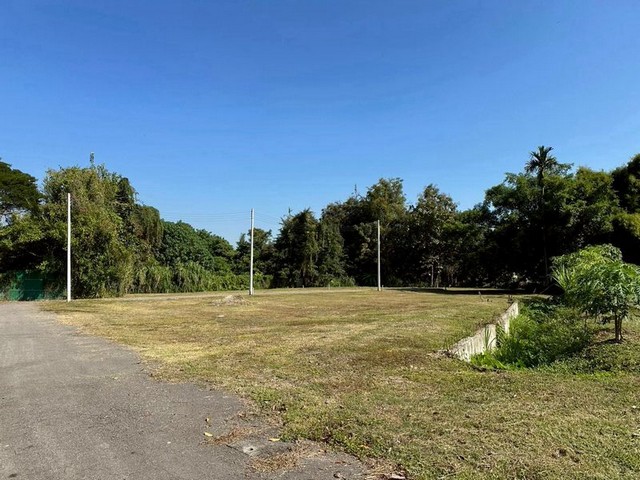 ประกาศฟรี! ซื้อ-ขาย-เช่า คอนโด บ้าน ทาวน์โฮม ที่ดิน และพื้นที่เชิงพาณิชย์ทั่วประเทศไทย ทุกทำเล ทุกงบประมาณ ไม่มีค่าใช้จ่าย ลงง่าย ขายไว เข้าถึงผู้ซื้อโดยตรง 3 260042pic2.jpg