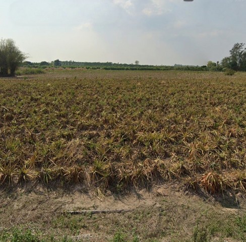 ประกาศฟรี! ซื้อ-ขาย-เช่า คอนโด บ้าน ทาวน์โฮม ที่ดิน และพื้นที่เชิงพาณิชย์ทั่วประเทศไทย ทุกทำเล ทุกงบประมาณ ไม่มีค่าใช้จ่าย ลงง่าย ขายไว เข้าถึงผู้ซื้อโดยตรง 4 318101pic3.jpg