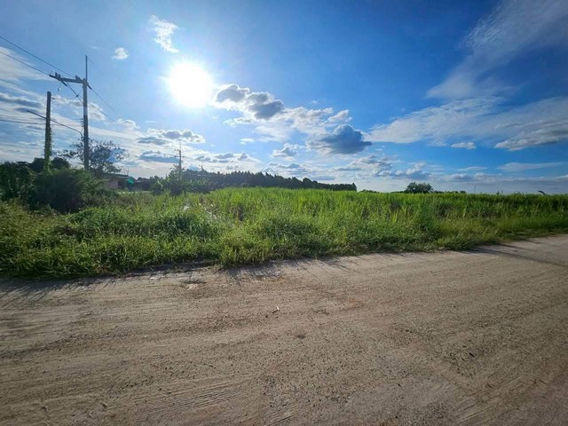 ประกาศฟรี! ซื้อ-ขาย-เช่า คอนโด บ้าน ทาวน์โฮม ที่ดิน และพื้นที่เชิงพาณิชย์ทั่วประเทศไทย ทุกทำเล ทุกงบประมาณ ไม่มีค่าใช้จ่าย ลงง่าย ขายไว เข้าถึงผู้ซื้อโดยตรง 3 318100pic2.jpg