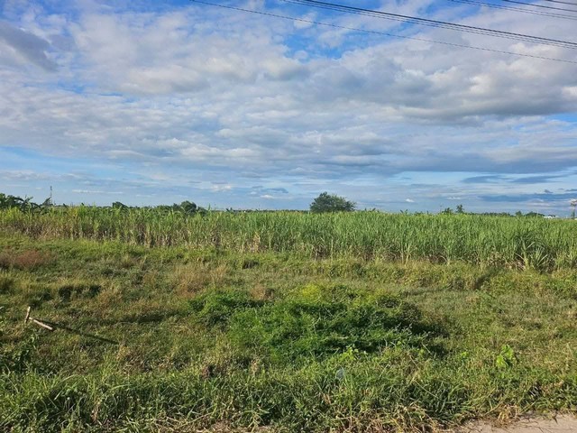 ประกาศฟรี! ซื้อ-ขาย-เช่า คอนโด บ้าน ทาวน์โฮม ที่ดิน และพื้นที่เชิงพาณิชย์ทั่วประเทศไทย ทุกทำเล ทุกงบประมาณ ไม่มีค่าใช้จ่าย ลงง่าย ขายไว เข้าถึงผู้ซื้อโดยตรง 4 318100pic3.jpg