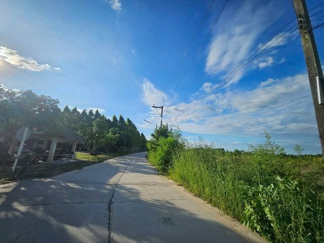 ประกาศฟรี! ซื้อ-ขาย-เช่า คอนโด บ้าน ทาวน์โฮม ที่ดิน และพื้นที่เชิงพาณิชย์ทั่วประเทศไทย ทุกทำเล ทุกงบประมาณ ไม่มีค่าใช้จ่าย ลงง่าย ขายไว เข้าถึงผู้ซื้อโดยตรง 5 318100pic4.jpg