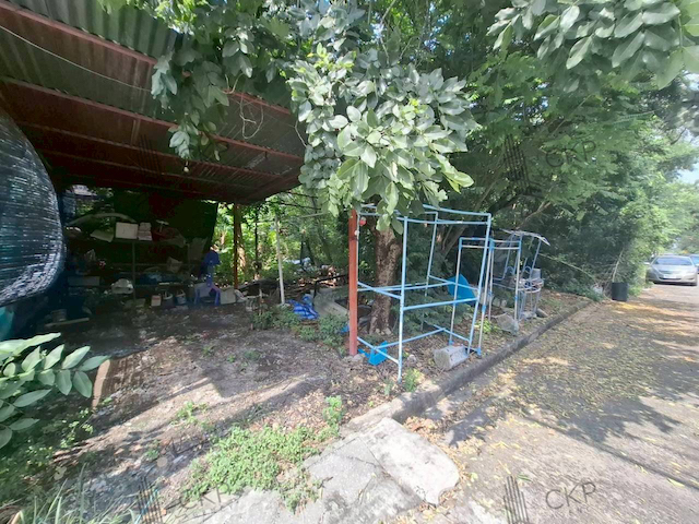 ประกาศฟรี! ซื้อ-ขาย-เช่า คอนโด บ้าน ทาวน์โฮม ที่ดิน และพื้นที่เชิงพาณิชย์ทั่วประเทศไทย ทุกทำเล ทุกงบประมาณ ไม่มีค่าใช้จ่าย ลงง่าย ขายไว เข้าถึงผู้ซื้อโดยตรง 2 294475pic1.jpg