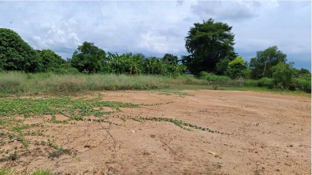 ประกาศฟรี! ซื้อ-ขาย-เช่า คอนโด บ้าน ทาวน์โฮม ที่ดิน และพื้นที่เชิงพาณิชย์ทั่วประเทศไทย ทุกทำเล ทุกงบประมาณ ไม่มีค่าใช้จ่าย ลงง่าย ขายไว เข้าถึงผู้ซื้อโดยตรง 5 208762pic4.jpg