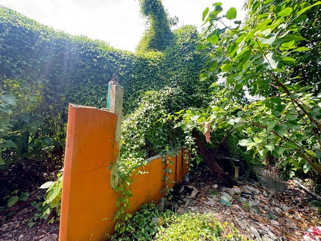 ประกาศฟรี! ซื้อ-ขาย-เช่า คอนโด บ้าน ทาวน์โฮม ที่ดิน และพื้นที่เชิงพาณิชย์ทั่วประเทศไทย ทุกทำเล ทุกงบประมาณ ไม่มีค่าใช้จ่าย ลงง่าย ขายไว เข้าถึงผู้ซื้อโดยตรง 5 318113pic4.jpg