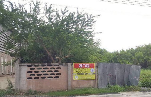 ประกาศฟรี! ซื้อ-ขาย-เช่า คอนโด บ้าน ทาวน์โฮม ที่ดิน และพื้นที่เชิงพาณิชย์ทั่วประเทศไทย ทุกทำเล ทุกงบประมาณ ไม่มีค่าใช้จ่าย ลงง่าย ขายไว เข้าถึงผู้ซื้อโดยตรง 2 519888pic1.jpg