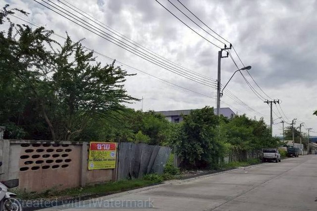 ประกาศฟรี! ซื้อ-ขาย-เช่า คอนโด บ้าน ทาวน์โฮม ที่ดิน และพื้นที่เชิงพาณิชย์ทั่วประเทศไทย ทุกทำเล ทุกงบประมาณ ไม่มีค่าใช้จ่าย ลงง่าย ขายไว เข้าถึงผู้ซื้อโดยตรง 3 519888pic2.jpg