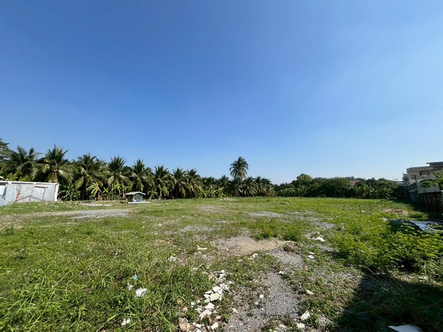 ประกาศฟรี! ซื้อ-ขาย-เช่า คอนโด บ้าน ทาวน์โฮม ที่ดิน และพื้นที่เชิงพาณิชย์ทั่วประเทศไทย ทุกทำเล ทุกงบประมาณ ไม่มีค่าใช้จ่าย ลงง่าย ขายไว เข้าถึงผู้ซื้อโดยตรง 4 519885pic3.jpg