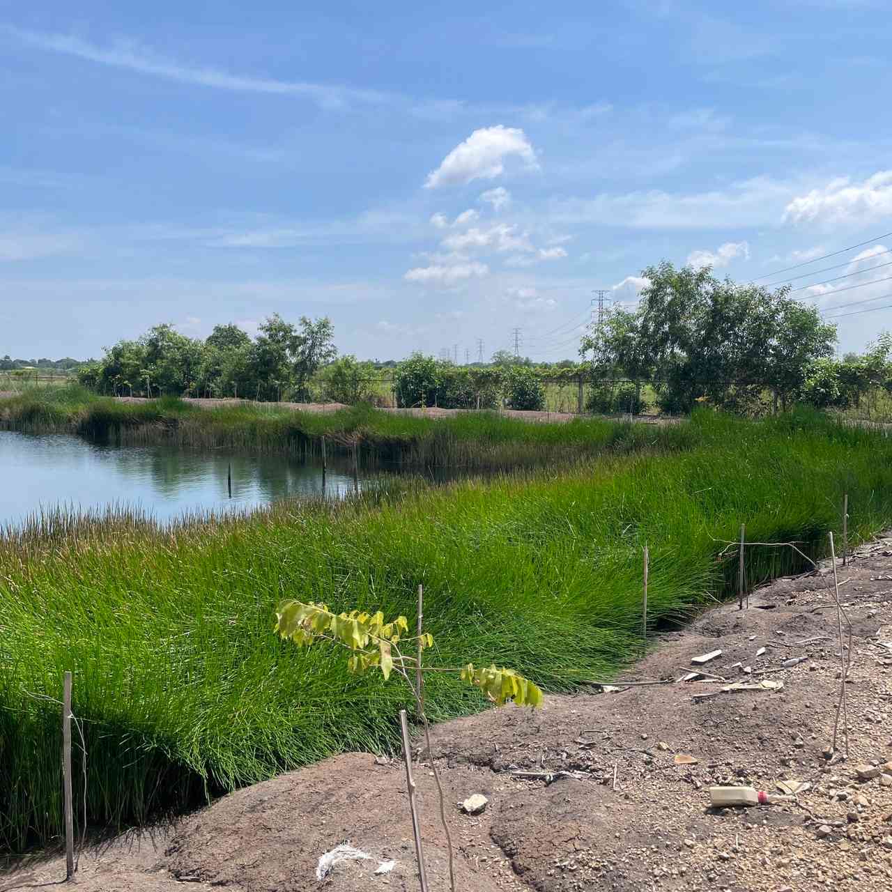 ประกาศฟรี! ซื้อ-ขาย-เช่า คอนโด บ้าน ทาวน์โฮม ที่ดิน และพื้นที่เชิงพาณิชย์ทั่วประเทศไทย ทุกทำเล ทุกงบประมาณ ไม่มีค่าใช้จ่าย ลงง่าย ขายไว เข้าถึงผู้ซื้อโดยตรง 2 318146pic1.jpg