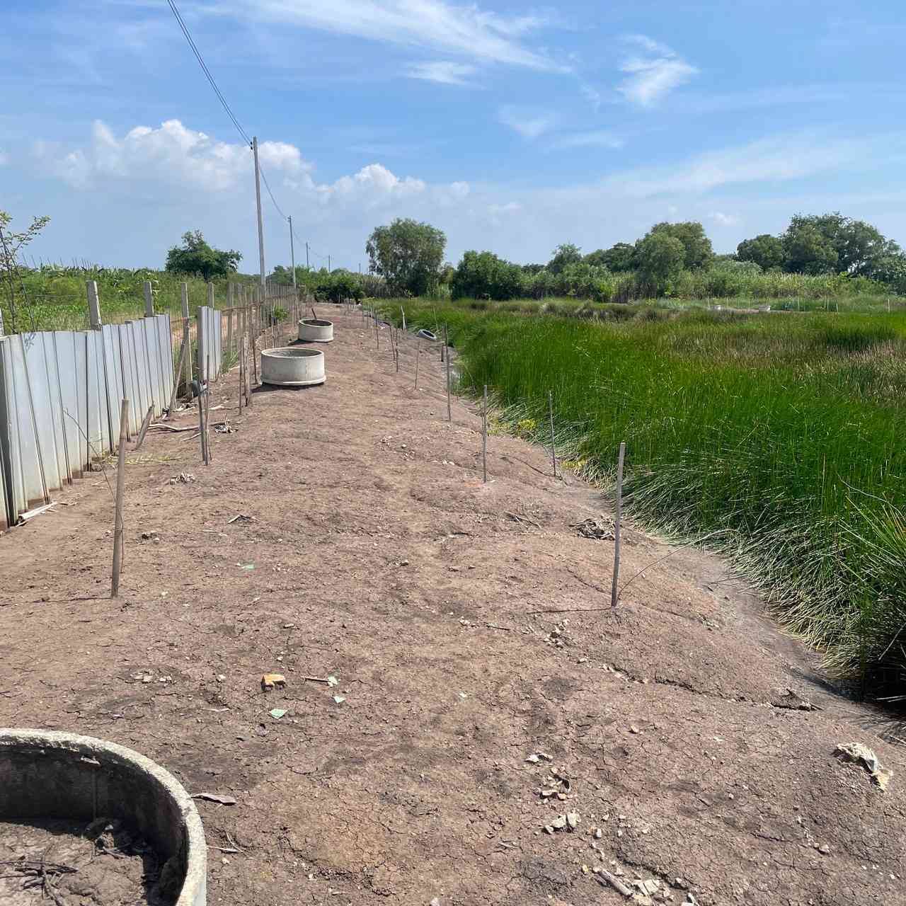 ประกาศฟรี! ซื้อ-ขาย-เช่า คอนโด บ้าน ทาวน์โฮม ที่ดิน และพื้นที่เชิงพาณิชย์ทั่วประเทศไทย ทุกทำเล ทุกงบประมาณ ไม่มีค่าใช้จ่าย ลงง่าย ขายไว เข้าถึงผู้ซื้อโดยตรง 3 318146pic2.jpg