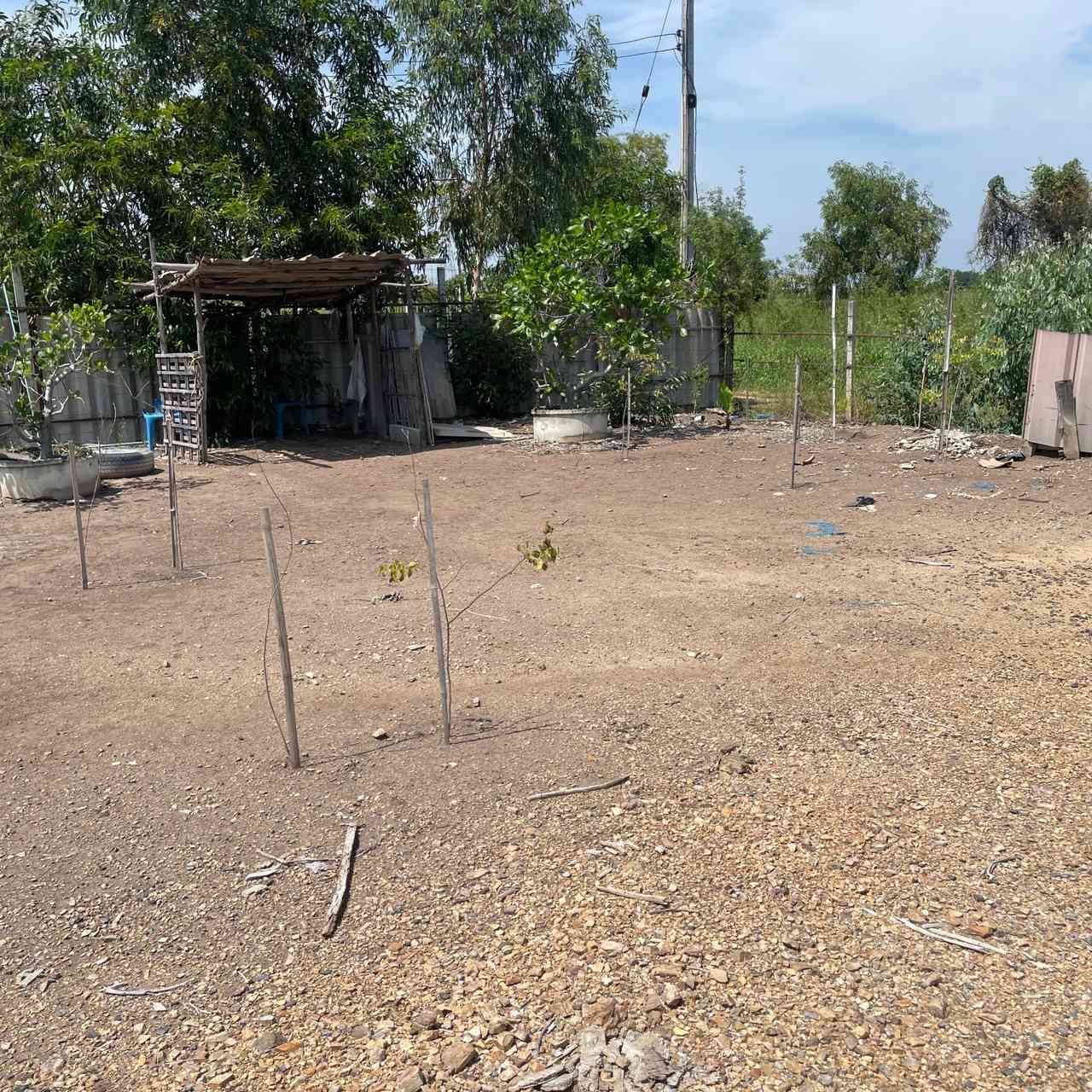 ประกาศฟรี! ซื้อ-ขาย-เช่า คอนโด บ้าน ทาวน์โฮม ที่ดิน และพื้นที่เชิงพาณิชย์ทั่วประเทศไทย ทุกทำเล ทุกงบประมาณ ไม่มีค่าใช้จ่าย ลงง่าย ขายไว เข้าถึงผู้ซื้อโดยตรง 4 318146pic3.jpg