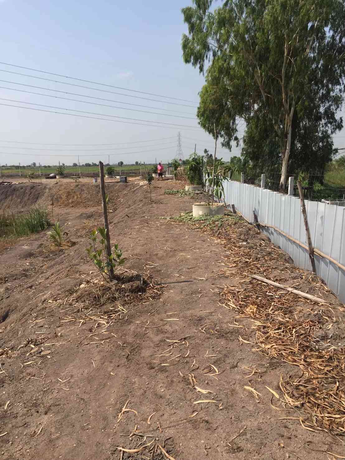 ประกาศฟรี! ซื้อ-ขาย-เช่า คอนโด บ้าน ทาวน์โฮม ที่ดิน และพื้นที่เชิงพาณิชย์ทั่วประเทศไทย ทุกทำเล ทุกงบประมาณ ไม่มีค่าใช้จ่าย ลงง่าย ขายไว เข้าถึงผู้ซื้อโดยตรง 5 318146pic4.jpg