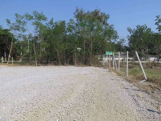 ประกาศฟรี! ซื้อ-ขาย-เช่า คอนโด บ้าน ทาวน์โฮม ที่ดิน และพื้นที่เชิงพาณิชย์ทั่วประเทศไทย ทุกทำเล ทุกงบประมาณ ไม่มีค่าใช้จ่าย ลงง่าย ขายไว เข้าถึงผู้ซื้อโดยตรง 3 260697pic2.jpg