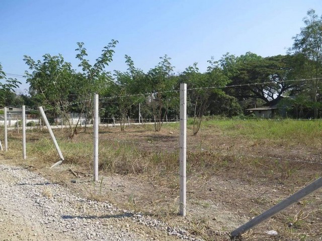 ประกาศฟรี! ซื้อ-ขาย-เช่า คอนโด บ้าน ทาวน์โฮม ที่ดิน และพื้นที่เชิงพาณิชย์ทั่วประเทศไทย ทุกทำเล ทุกงบประมาณ ไม่มีค่าใช้จ่าย ลงง่าย ขายไว เข้าถึงผู้ซื้อโดยตรง 4 260697pic3.jpg