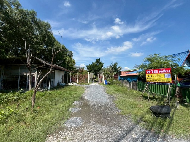 ประกาศฟรี! ซื้อ-ขาย-เช่า คอนโด บ้าน ทาวน์โฮม ที่ดิน และพื้นที่เชิงพาณิชย์ทั่วประเทศไทย ทุกทำเล ทุกงบประมาณ ไม่มีค่าใช้จ่าย ลงง่าย ขายไว เข้าถึงผู้ซื้อโดยตรง 2 520224pic1.jpg