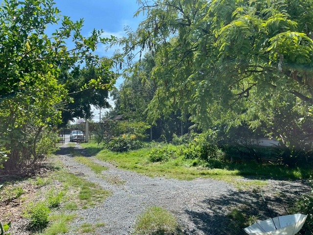 ประกาศฟรี! ซื้อ-ขาย-เช่า คอนโด บ้าน ทาวน์โฮม ที่ดิน และพื้นที่เชิงพาณิชย์ทั่วประเทศไทย ทุกทำเล ทุกงบประมาณ ไม่มีค่าใช้จ่าย ลงง่าย ขายไว เข้าถึงผู้ซื้อโดยตรง 4 520224pic3.jpg