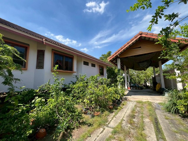 ประกาศฟรี! ซื้อ-ขาย-เช่า คอนโด บ้าน ทาวน์โฮม ที่ดิน และพื้นที่เชิงพาณิชย์ทั่วประเทศไทย ทุกทำเล ทุกงบประมาณ ไม่มีค่าใช้จ่าย ลงง่าย ขายไว เข้าถึงผู้ซื้อโดยตรง 5 520224pic4.jpg