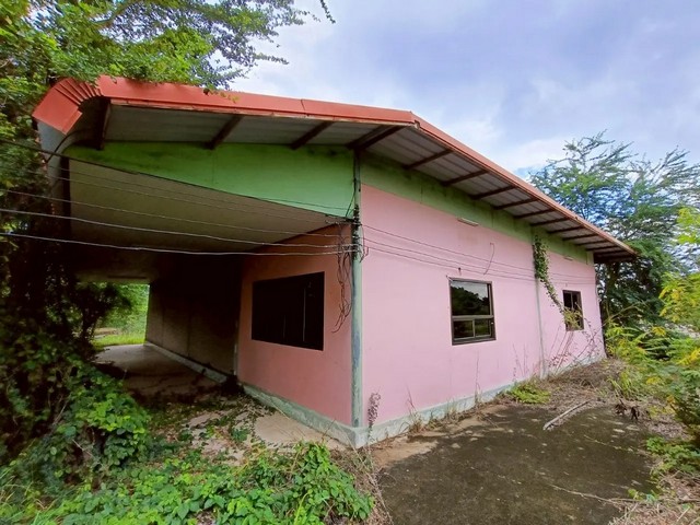 ประกาศฟรี! ซื้อ-ขาย-เช่า คอนโด บ้าน ทาวน์โฮม ที่ดิน และพื้นที่เชิงพาณิชย์ทั่วประเทศไทย ทุกทำเล ทุกงบประมาณ ไม่มีค่าใช้จ่าย ลงง่าย ขายไว เข้าถึงผู้ซื้อโดยตรง 3 259592pic2.jpg