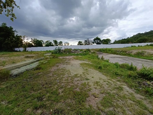 ประกาศฟรี! ซื้อ-ขาย-เช่า คอนโด บ้าน ทาวน์โฮม ที่ดิน และพื้นที่เชิงพาณิชย์ทั่วประเทศไทย ทุกทำเล ทุกงบประมาณ ไม่มีค่าใช้จ่าย ลงง่าย ขายไว เข้าถึงผู้ซื้อโดยตรง 3 259590pic2.jpg