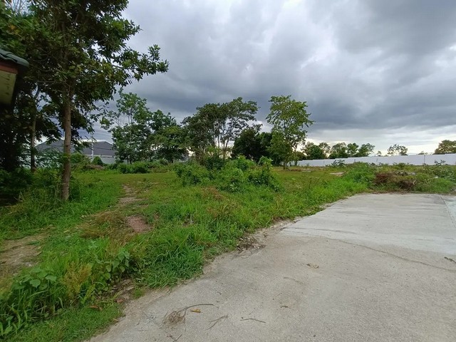 ประกาศฟรี! ซื้อ-ขาย-เช่า คอนโด บ้าน ทาวน์โฮม ที่ดิน และพื้นที่เชิงพาณิชย์ทั่วประเทศไทย ทุกทำเล ทุกงบประมาณ ไม่มีค่าใช้จ่าย ลงง่าย ขายไว เข้าถึงผู้ซื้อโดยตรง 4 259590pic3.jpg