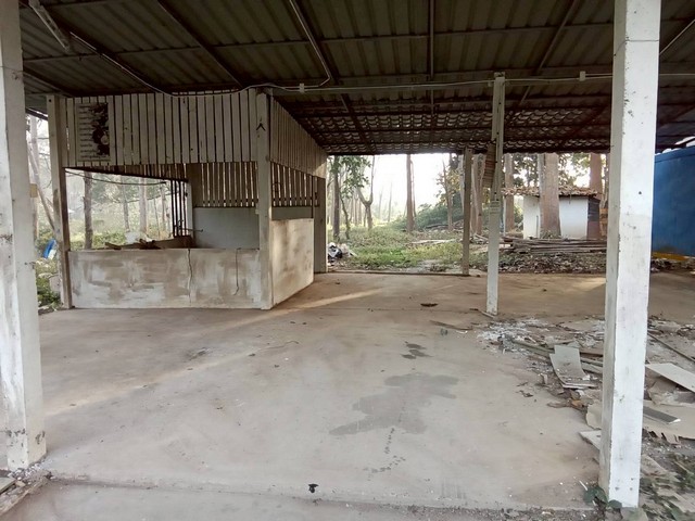 ประกาศฟรี! ซื้อ-ขาย-เช่า คอนโด บ้าน ทาวน์โฮม ที่ดิน และพื้นที่เชิงพาณิชย์ทั่วประเทศไทย ทุกทำเล ทุกงบประมาณ ไม่มีค่าใช้จ่าย ลงง่าย ขายไว เข้าถึงผู้ซื้อโดยตรง 3 259710pic2.jpg