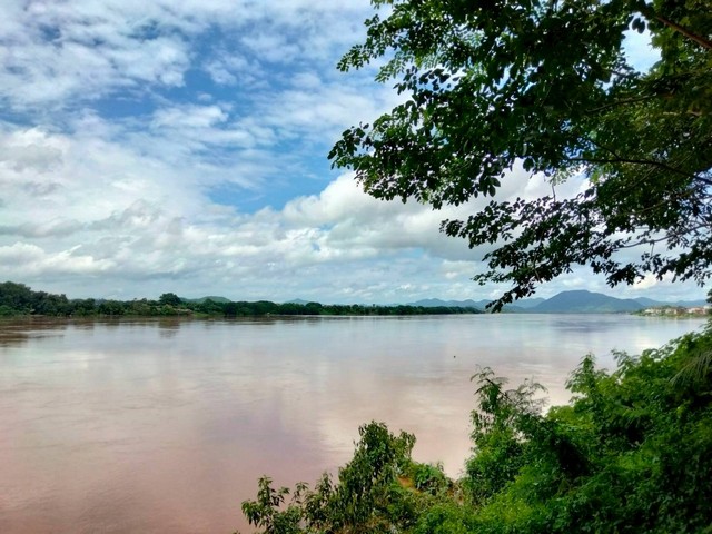 ประกาศฟรี! ซื้อ-ขาย-เช่า คอนโด บ้าน ทาวน์โฮม ที่ดิน และพื้นที่เชิงพาณิชย์ทั่วประเทศไทย ทุกทำเล ทุกงบประมาณ ไม่มีค่าใช้จ่าย ลงง่าย ขายไว เข้าถึงผู้ซื้อโดยตรง 2 254222pic1.jpg