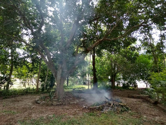 ประกาศฟรี! ซื้อ-ขาย-เช่า คอนโด บ้าน ทาวน์โฮม ที่ดิน และพื้นที่เชิงพาณิชย์ทั่วประเทศไทย ทุกทำเล ทุกงบประมาณ ไม่มีค่าใช้จ่าย ลงง่าย ขายไว เข้าถึงผู้ซื้อโดยตรง 3 254222pic2.jpg