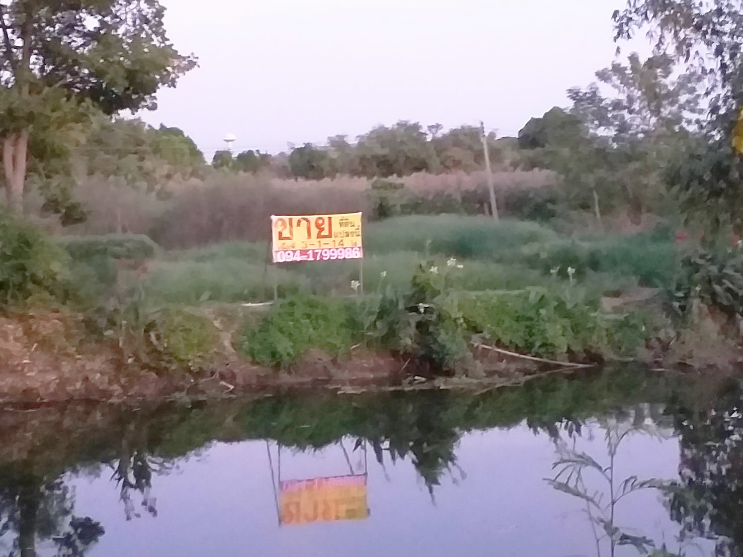 ประกาศฟรี! ซื้อ-ขาย-เช่า คอนโด บ้าน ทาวน์โฮม ที่ดิน และพื้นที่เชิงพาณิชย์ทั่วประเทศไทย ทุกทำเล ทุกงบประมาณ ไม่มีค่าใช้จ่าย ลงง่าย ขายไว เข้าถึงผู้ซื้อโดยตรง 2 294492pic1.jpg