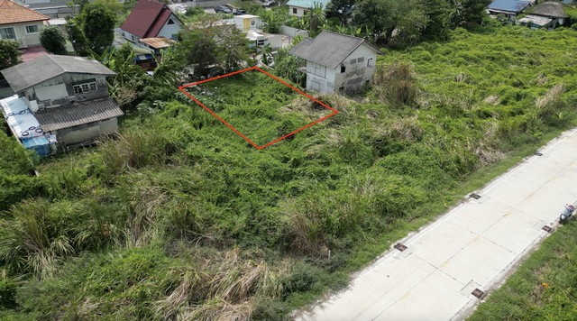 ประกาศฟรี! ซื้อ-ขาย-เช่า คอนโด บ้าน ทาวน์โฮม ที่ดิน และพื้นที่เชิงพาณิชย์ทั่วประเทศไทย ทุกทำเล ทุกงบประมาณ ไม่มีค่าใช้จ่าย ลงง่าย ขายไว เข้าถึงผู้ซื้อโดยตรง 5 260792pic4.jpg