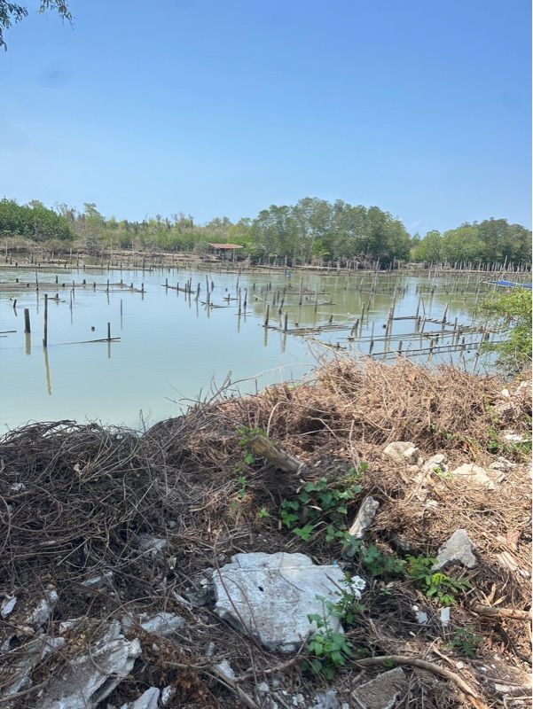 ประกาศฟรี! ซื้อ-ขาย-เช่า คอนโด บ้าน ทาวน์โฮม ที่ดิน และพื้นที่เชิงพาณิชย์ทั่วประเทศไทย ทุกทำเล ทุกงบประมาณ ไม่มีค่าใช้จ่าย ลงง่าย ขายไว เข้าถึงผู้ซื้อโดยตรง 3 318211pic2.jpg