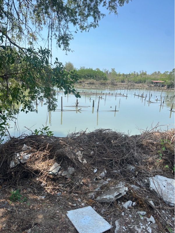 ประกาศฟรี! ซื้อ-ขาย-เช่า คอนโด บ้าน ทาวน์โฮม ที่ดิน และพื้นที่เชิงพาณิชย์ทั่วประเทศไทย ทุกทำเล ทุกงบประมาณ ไม่มีค่าใช้จ่าย ลงง่าย ขายไว เข้าถึงผู้ซื้อโดยตรง 4 318211pic3.jpg