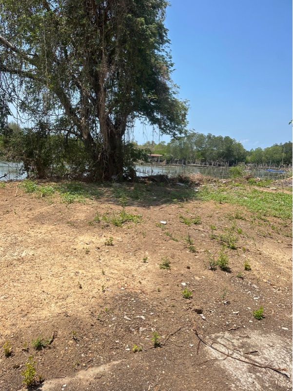 ประกาศฟรี! ซื้อ-ขาย-เช่า คอนโด บ้าน ทาวน์โฮม ที่ดิน และพื้นที่เชิงพาณิชย์ทั่วประเทศไทย ทุกทำเล ทุกงบประมาณ ไม่มีค่าใช้จ่าย ลงง่าย ขายไว เข้าถึงผู้ซื้อโดยตรง 5 318211pic4.jpg