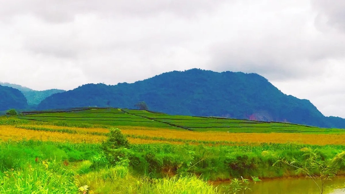 ประกาศฟรี! ซื้อ-ขาย-เช่า คอนโด บ้าน ทาวน์โฮม ที่ดิน และพื้นที่เชิงพาณิชย์ทั่วประเทศไทย ทุกทำเล ทุกงบประมาณ ไม่มีค่าใช้จ่าย ลงง่าย ขายไว เข้าถึงผู้ซื้อโดยตรง 3 318204pic2.jpg