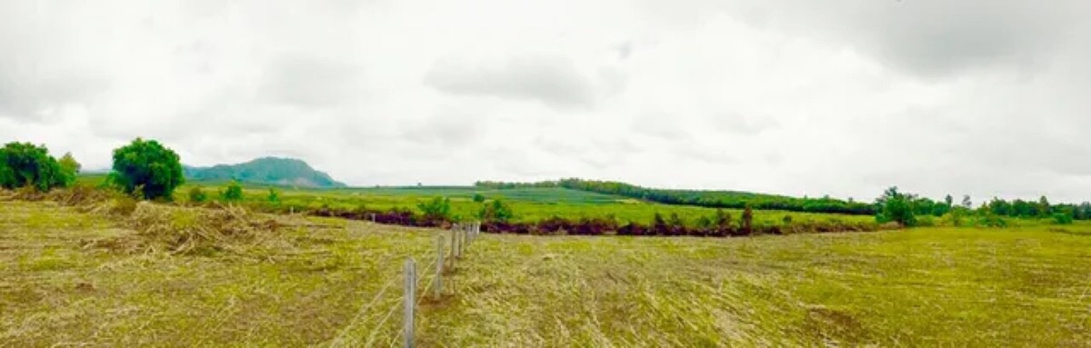 ประกาศฟรี! ซื้อ-ขาย-เช่า คอนโด บ้าน ทาวน์โฮม ที่ดิน และพื้นที่เชิงพาณิชย์ทั่วประเทศไทย ทุกทำเล ทุกงบประมาณ ไม่มีค่าใช้จ่าย ลงง่าย ขายไว เข้าถึงผู้ซื้อโดยตรง 4 318204pic3.jpg