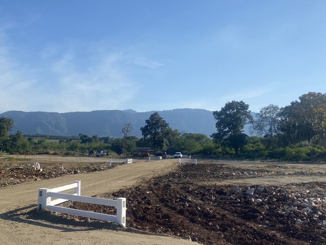 ประกาศฟรี! ซื้อ-ขาย-เช่า คอนโด บ้าน ทาวน์โฮม ที่ดิน และพื้นที่เชิงพาณิชย์ทั่วประเทศไทย ทุกทำเล ทุกงบประมาณ ไม่มีค่าใช้จ่าย ลงง่าย ขายไว เข้าถึงผู้ซื้อโดยตรง 2 294070pic1.jpg